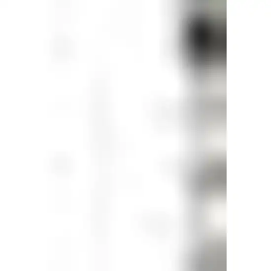 Ivory And Black Geometric Washable Indoor Outdoor Area Rug Photo 4