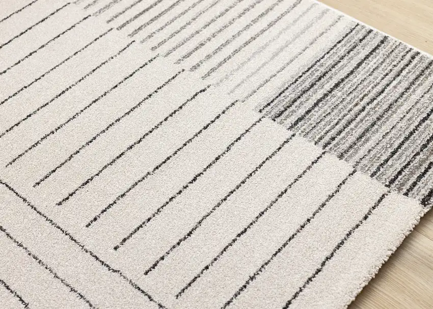Ivory And Black Striped Area Rug Photo 9