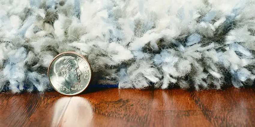 Ivory And Blue Area Rug Photo 4