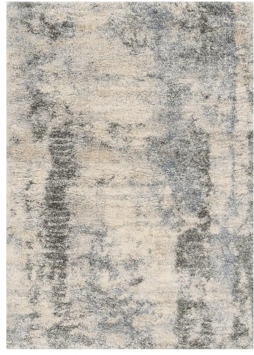 Ivory And Blue Area Rug Photo 2