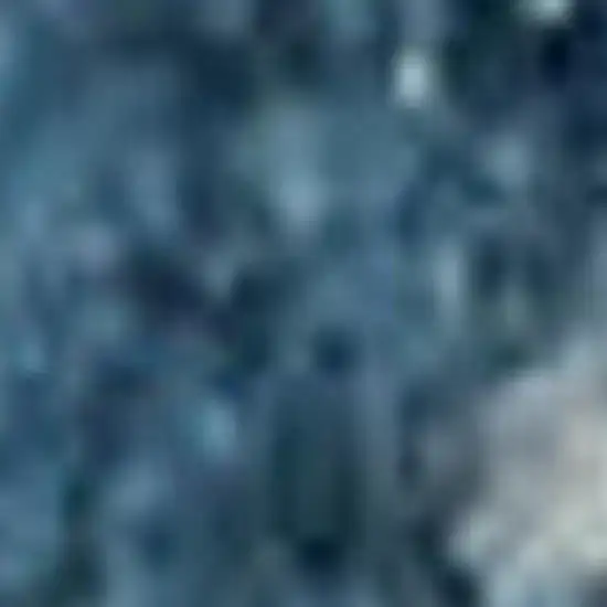 Ivory And Blue Floral Area Rug Photo 3