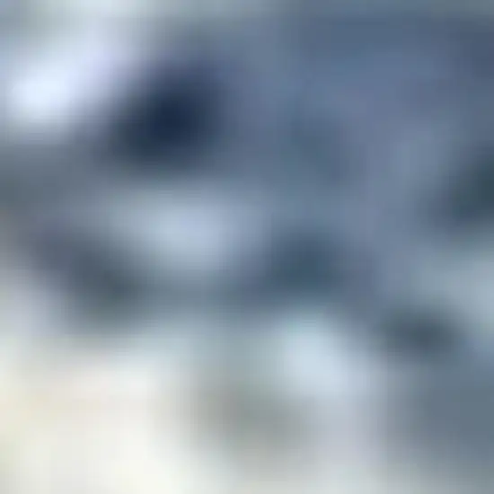 Ivory And Blue Geometric Washable Indoor Outdoor Area Rug Photo 3