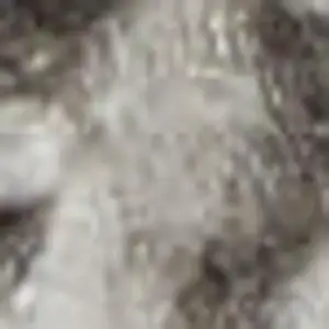 Photo of Ivory And Blue Oriental Power Loom Non Skid Area Rug