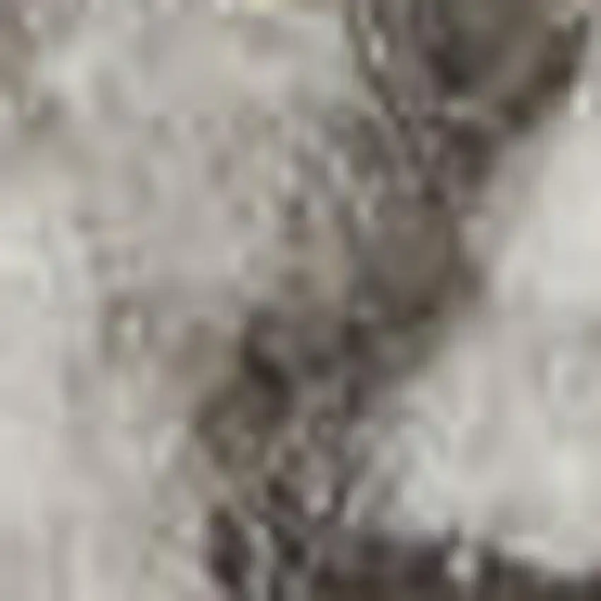 Ivory And Blue Oriental Power Loom Non Skid Area Rug Photo 1