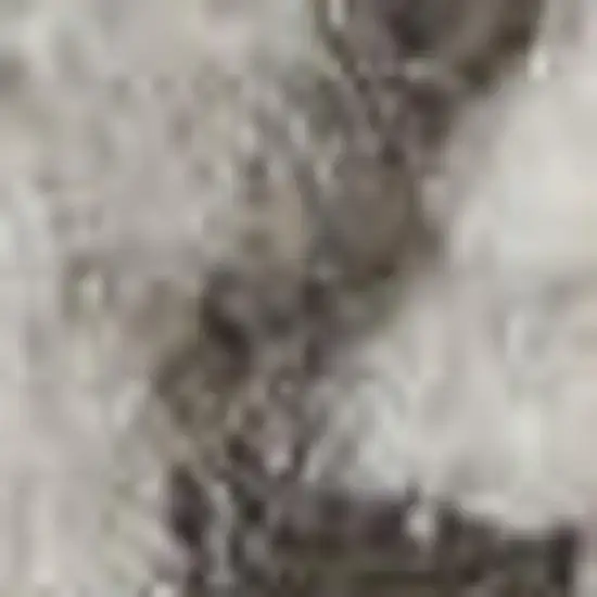 Ivory And Blue Oriental Power Loom Non Skid Area Rug Photo 1