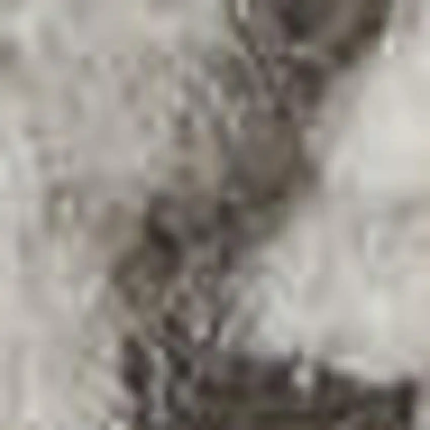 Ivory And Blue Oriental Power Loom Non Skid Area Rug Photo 1