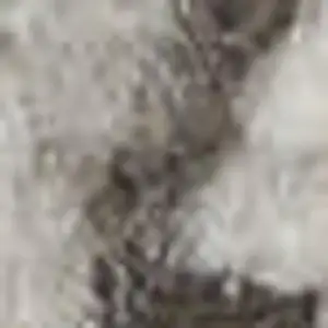 Photo of Ivory And Blue Oriental Power Loom Non Skid Area Rug