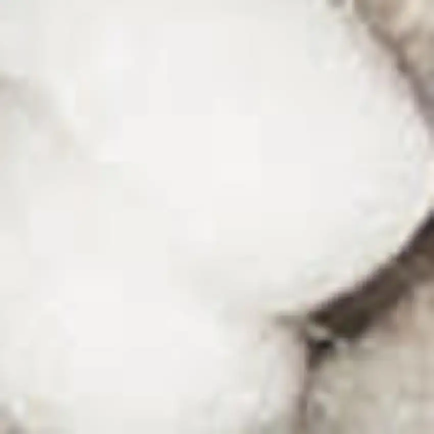 Ivory And Brown Abstract Area Rug Photo 2