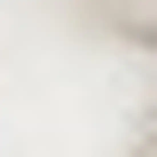 Ivory And Brown Abstract Area Rug Photo 2