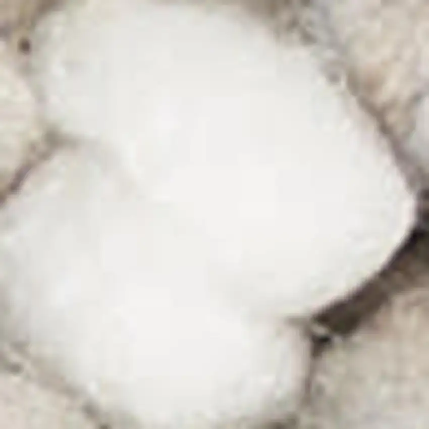 Ivory And Brown Abstract Area Rug Photo 7