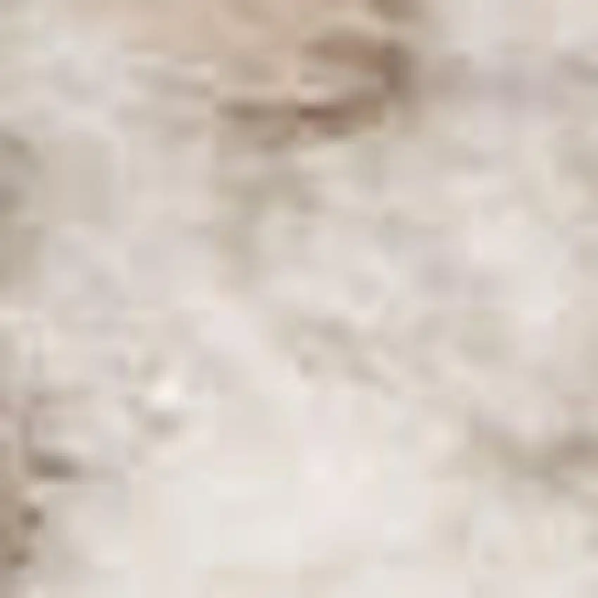 Ivory And Brown Geometric Area Rug Photo 3