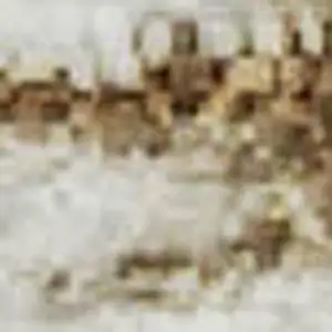 Photo of Ivory And Brown Striped Washable Area Rug With UV Protection