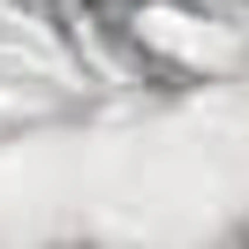 Ivory And Gray Abstract Area Rug With Fringe Photo 2