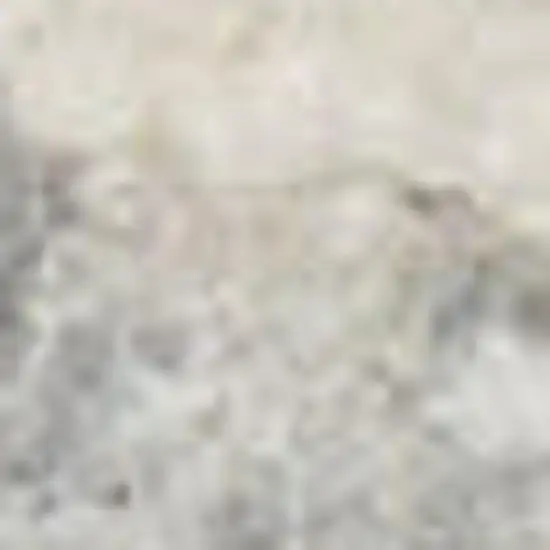 Ivory And Gray Abstract Area Rug Photo 2