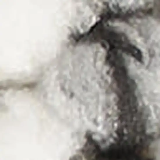 Ivory And Gray Abstract Area Rug Photo 2