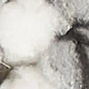 Photo of Ivory And Gray Abstract Area Rug