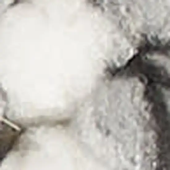 Ivory And Gray Abstract Area Rug Photo 2