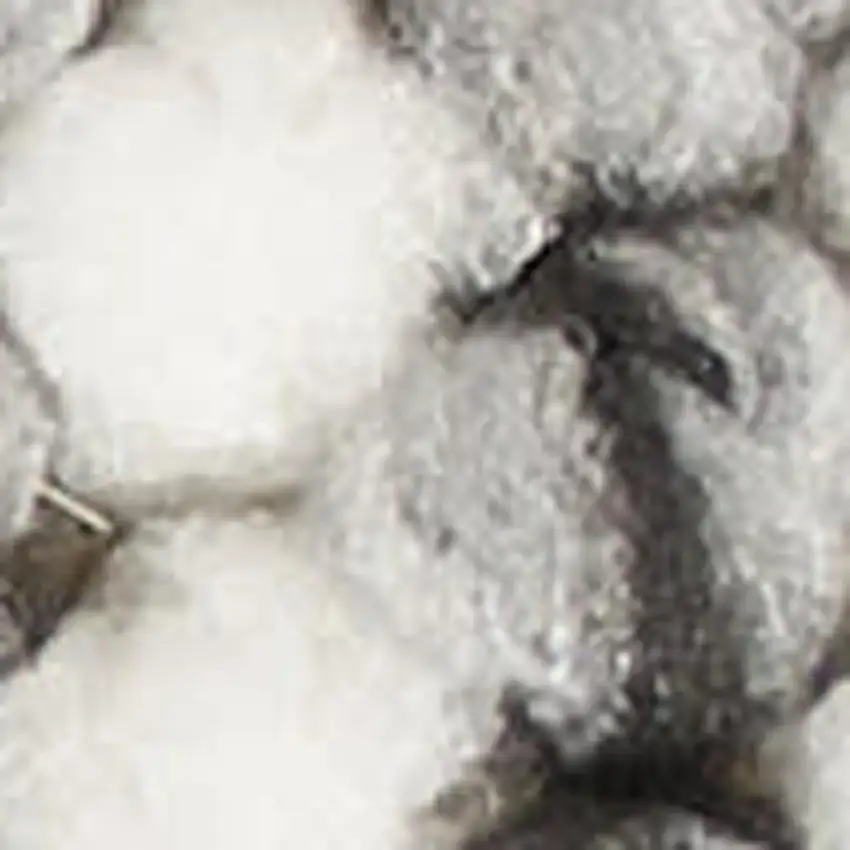 Ivory And Gray Abstract Area Rug Photo 3