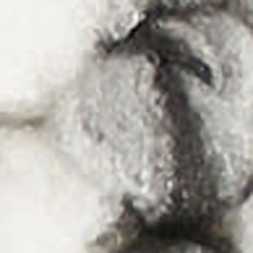 Ivory And Gray Abstract Area Rug Photo 7