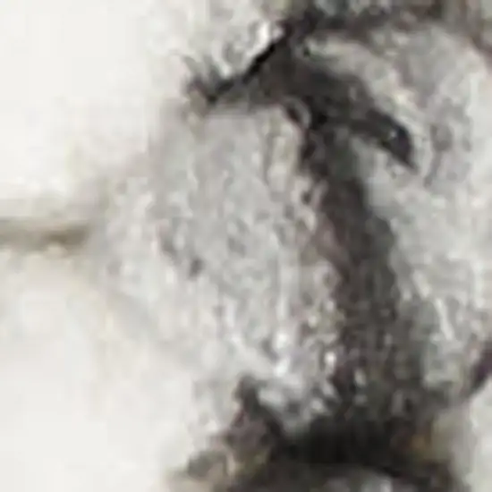 Ivory And Gray Abstract Area Rug Photo 7