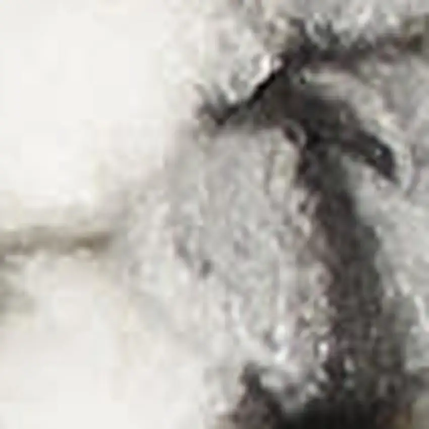 Ivory And Gray Abstract Area Rug Photo 2