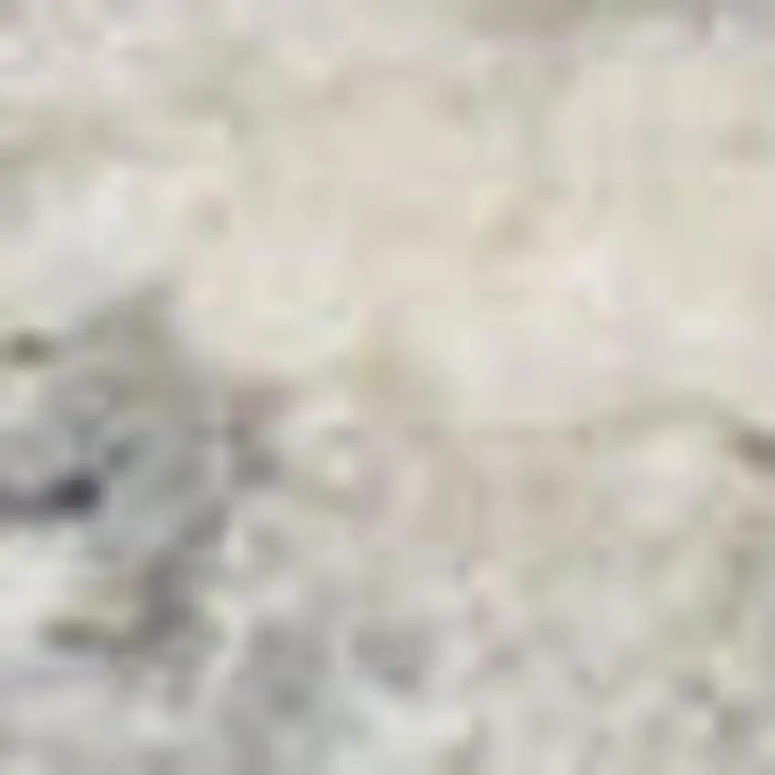 Ivory And Gray Abstract Area Rug Photo 2