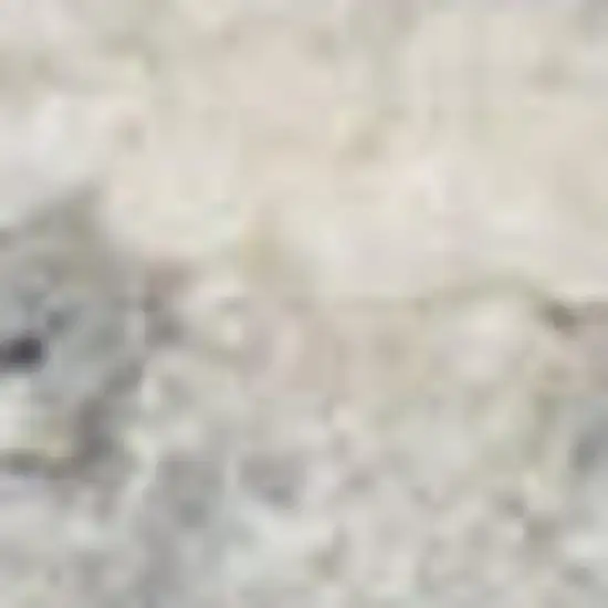 Ivory And Gray Abstract Area Rug Photo 2