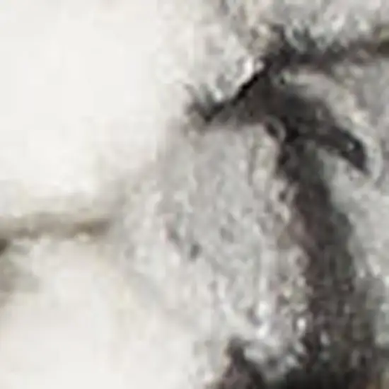 Ivory And Gray Abstract Area Rug Photo 7