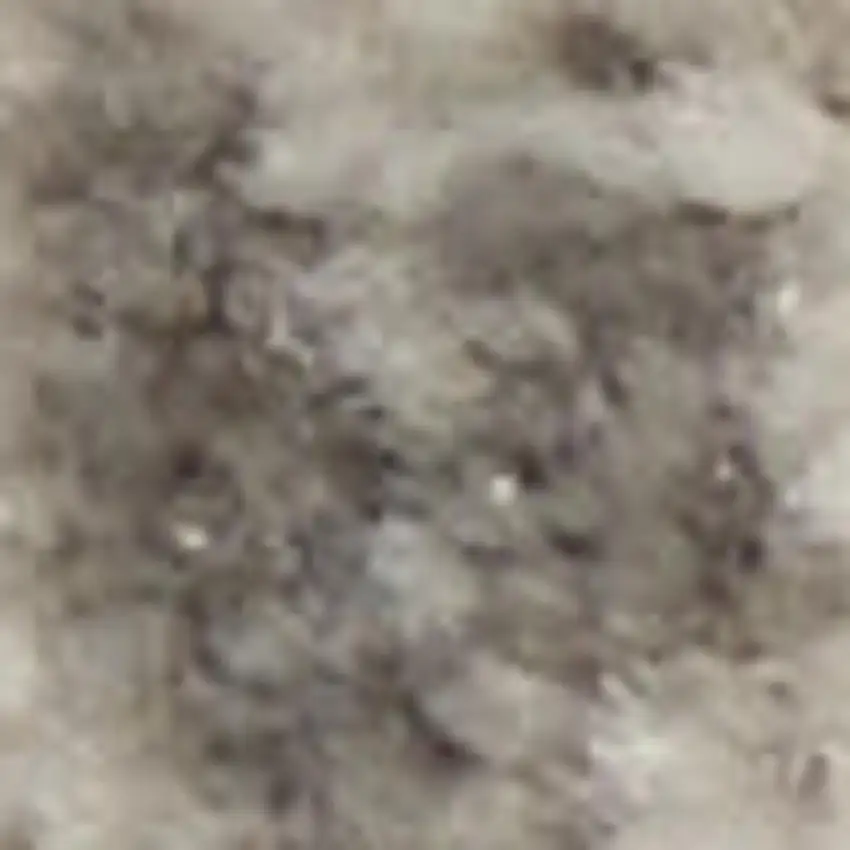 Ivory And Gray Animal Print Distressed Area Rug Photo 3