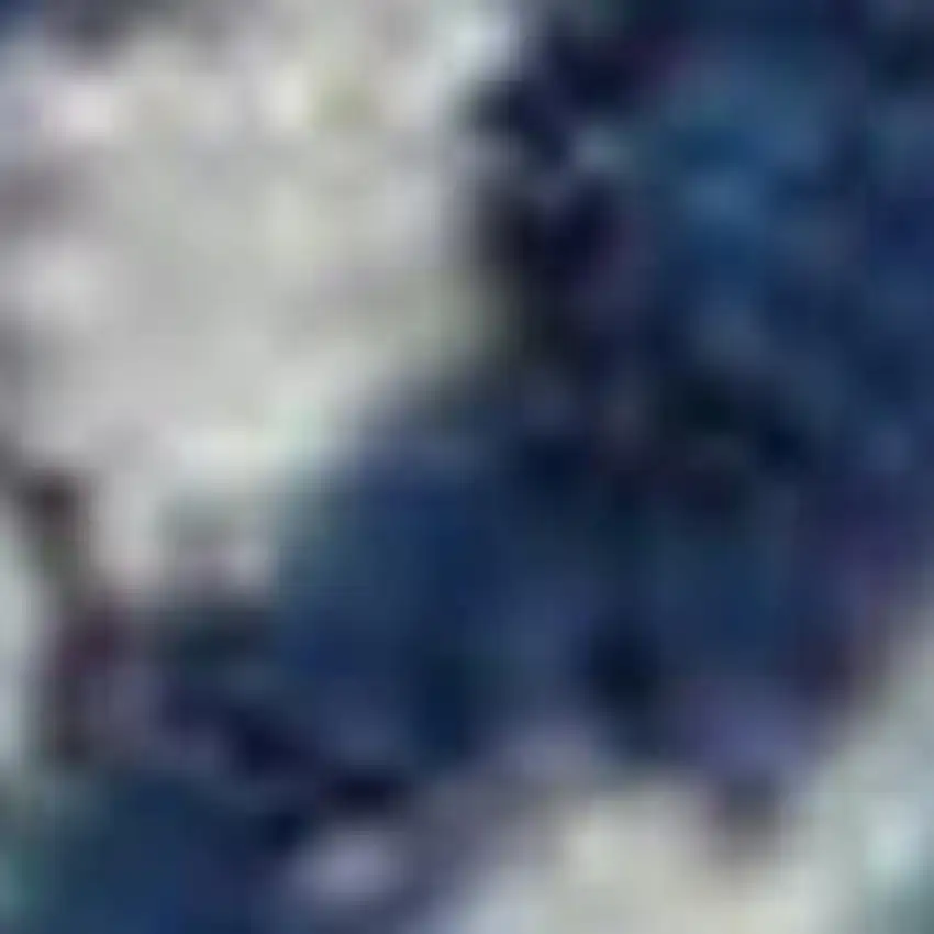 Ivory And Gray Floral Medallion Distressed Area Rug Photo 3