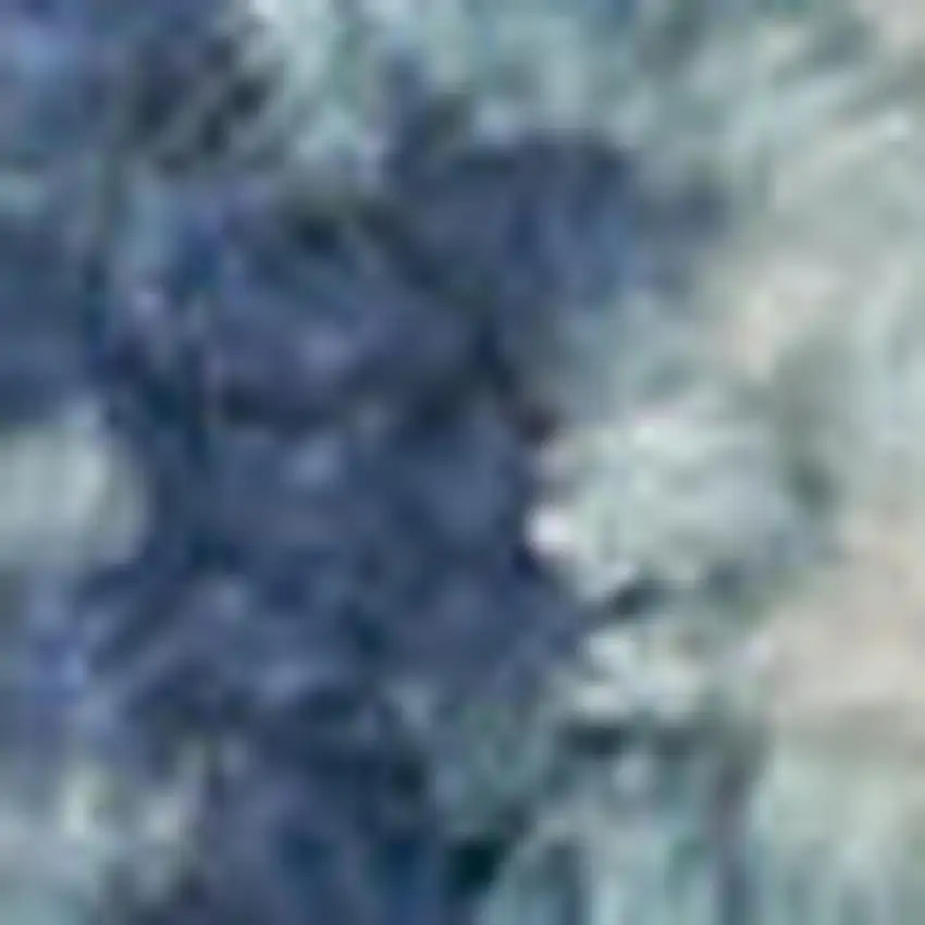 Ivory And Gray Floral Medallion Distressed Area Rug Photo 3