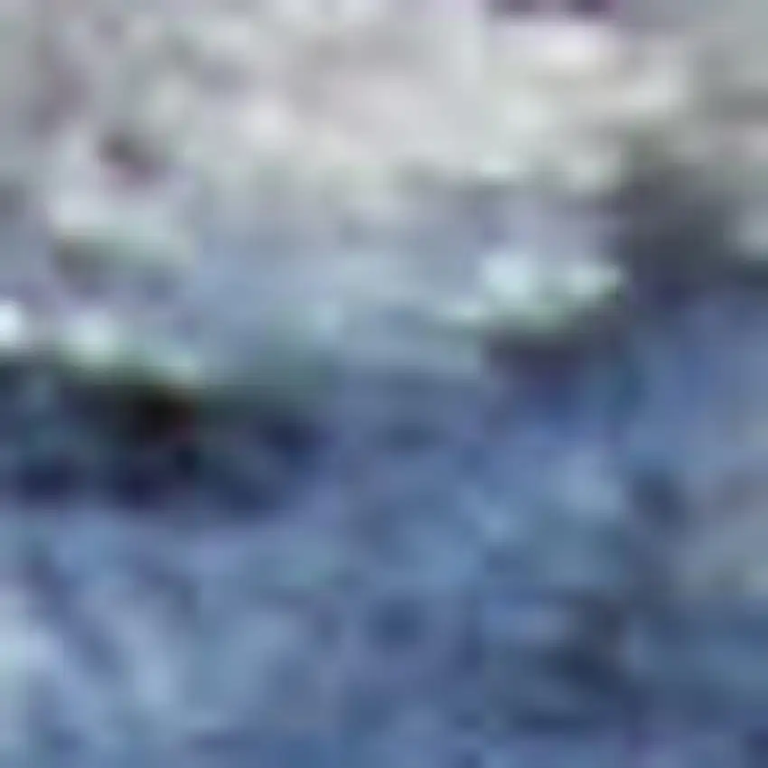 Ivory And Gray Floral Medallion Distressed Area Rug Photo 3