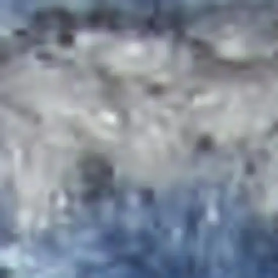 Ivory And Gray Floral Medallion Distressed Area Rug Photo 6