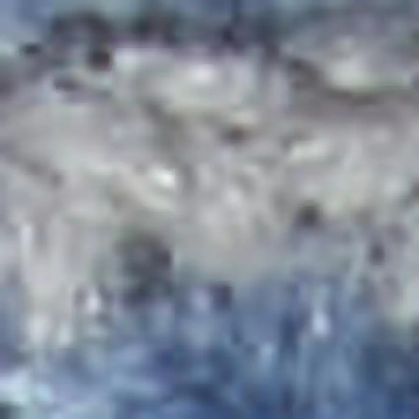 Ivory And Gray Floral Medallion Distressed Area Rug Photo 6