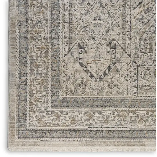 Ivory And Gray Medallion Distressed Area Rug With Fringe Photo 8