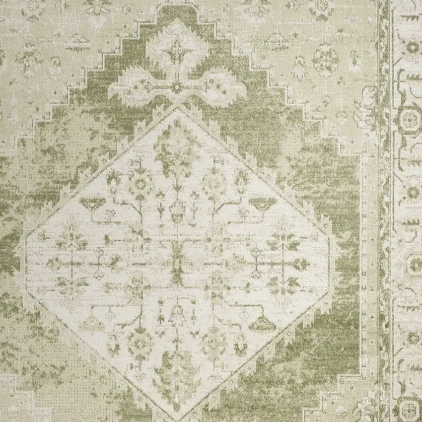 Ivory And Green Floral Distressed Area Rug Photo 6
