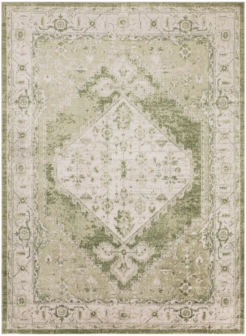 Ivory And Green Floral Distressed Area Rug Photo 6
