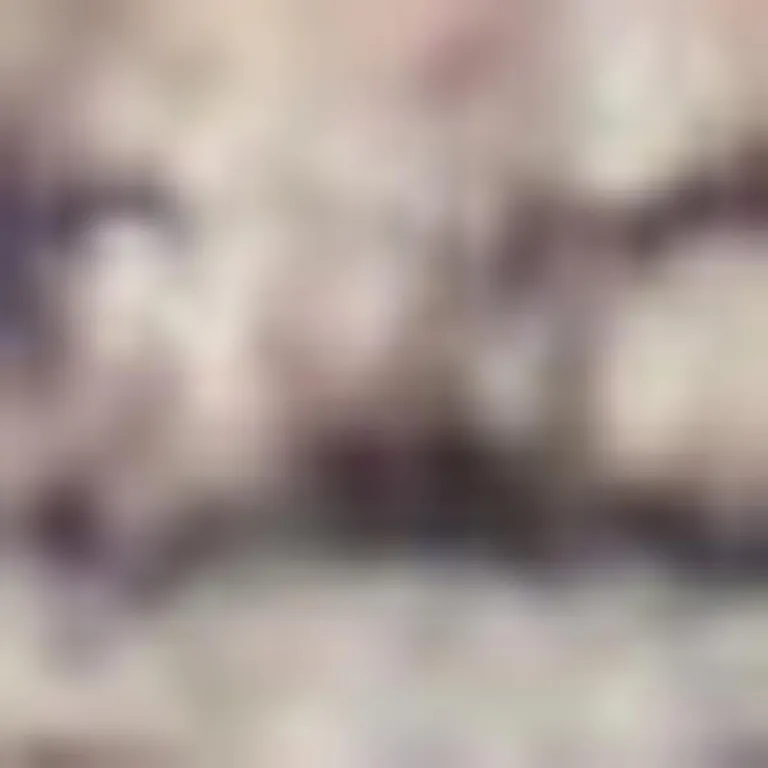 Ivory And Latte Medallion Distressed Washable Area Rug Photo 5