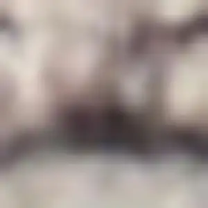 Photo of Ivory And Latte Medallion Distressed Washable Area Rug