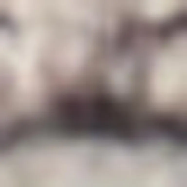 Ivory And Latte Medallion Distressed Washable Area Rug Photo 3