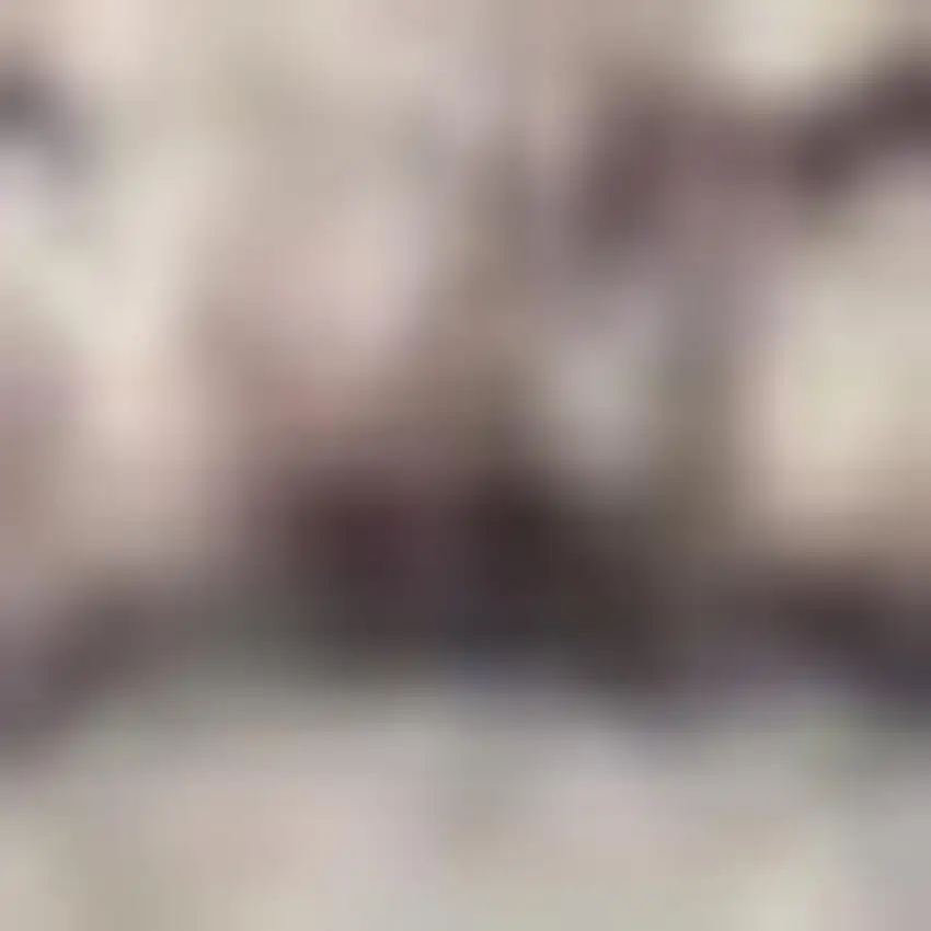 Ivory And Latte Medallion Distressed Washable Area Rug Photo 1