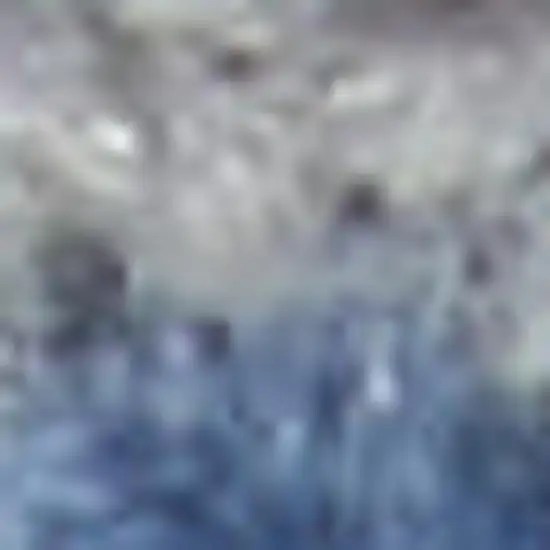 Ivory And Light Blue Floral Medallion Distressed Area Rug Photo 7