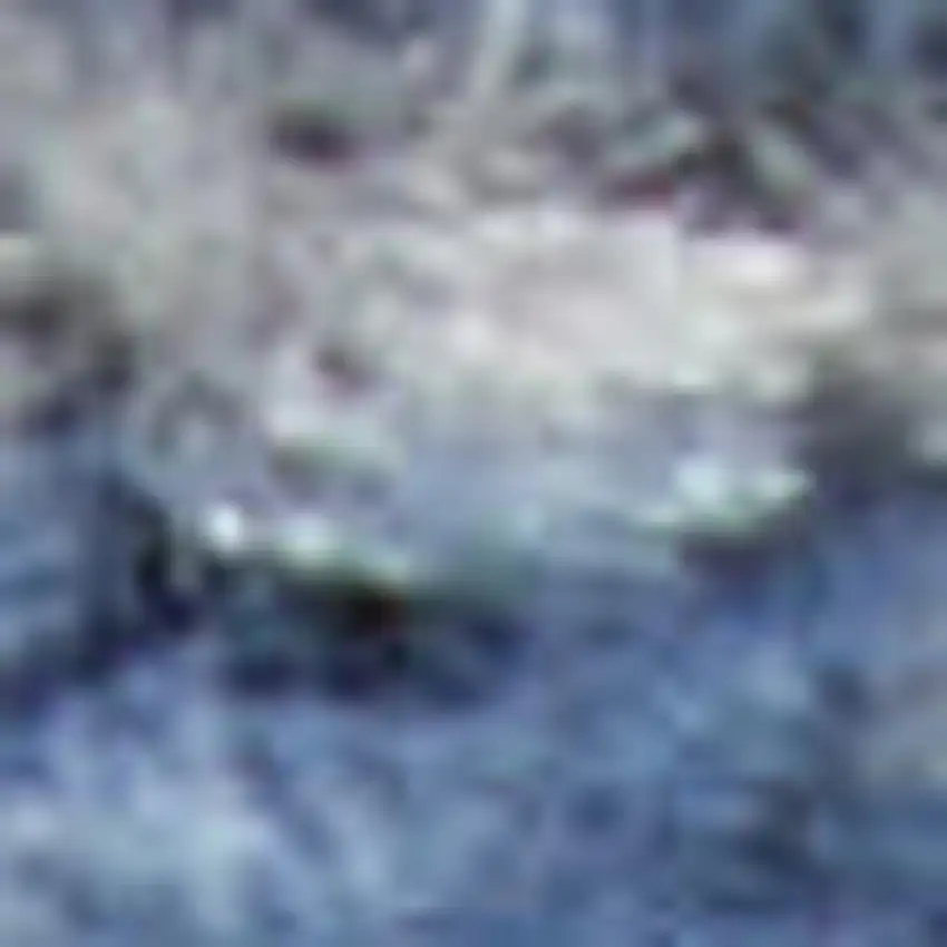 Ivory And Light Blue Floral Medallion Distressed Area Rug Photo 3