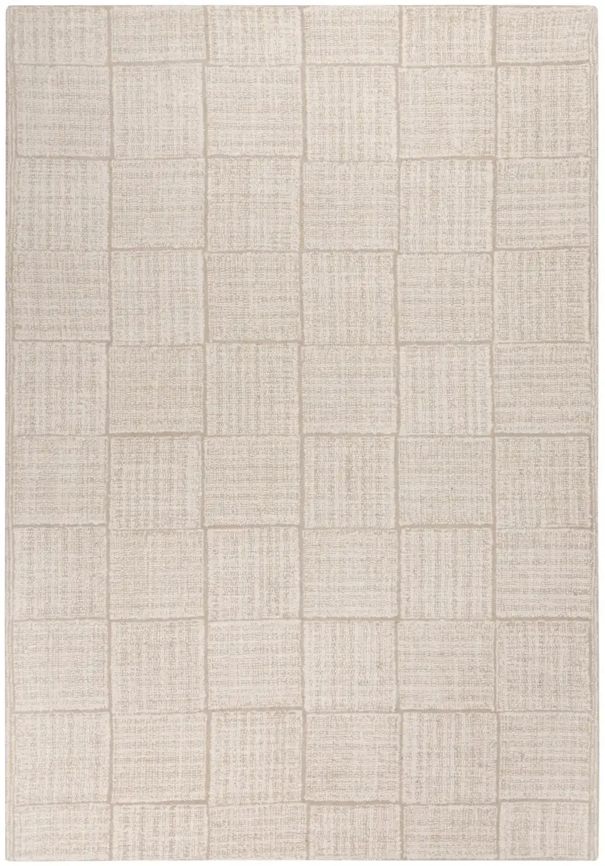 Ivory And Natural Wool Checkered Hand Tufted Area Rug Photo 1
