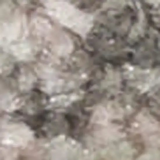 Ivory And Navy Blue Floral Medallion Distressed Area Rug Photo 5