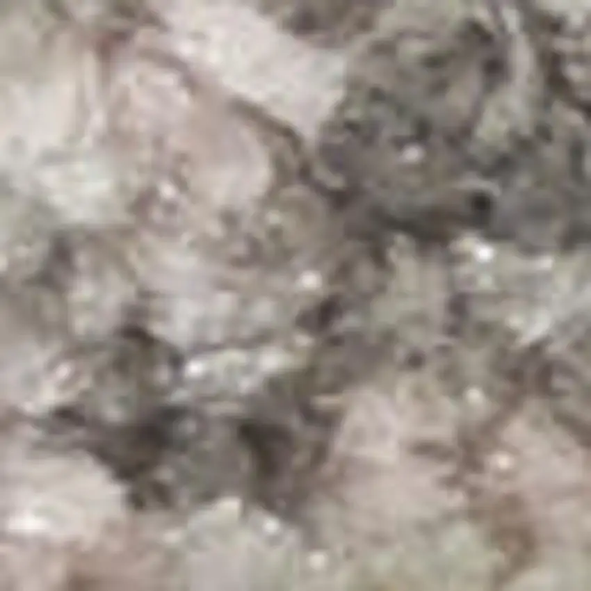 Ivory And Navy Blue Floral Medallion Distressed Area Rug Photo 5