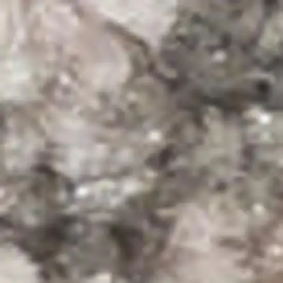 Ivory And Navy Blue Floral Medallion Distressed Area Rug Photo 1