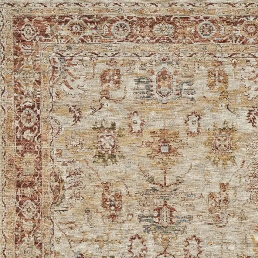 Ivory And Red Floral Distressed Area Rug Photo 3