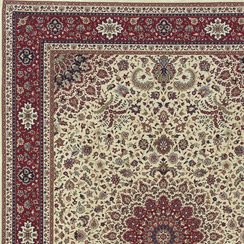 Ivory And Red Oriental Area Rug Photo 4