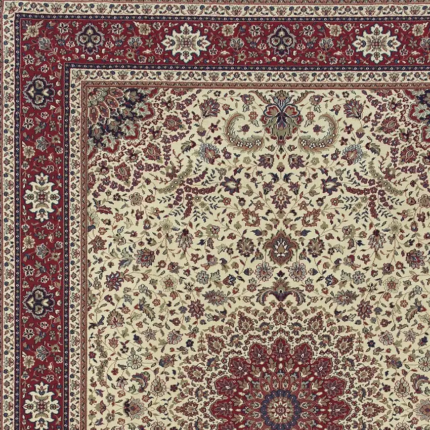 Ivory And Red Oriental Area Rug Photo 4